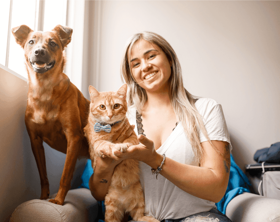 Pet Kuaför