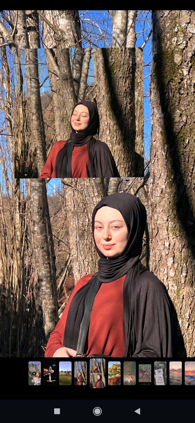 Prova mankeni, Ürün tanıtımı
