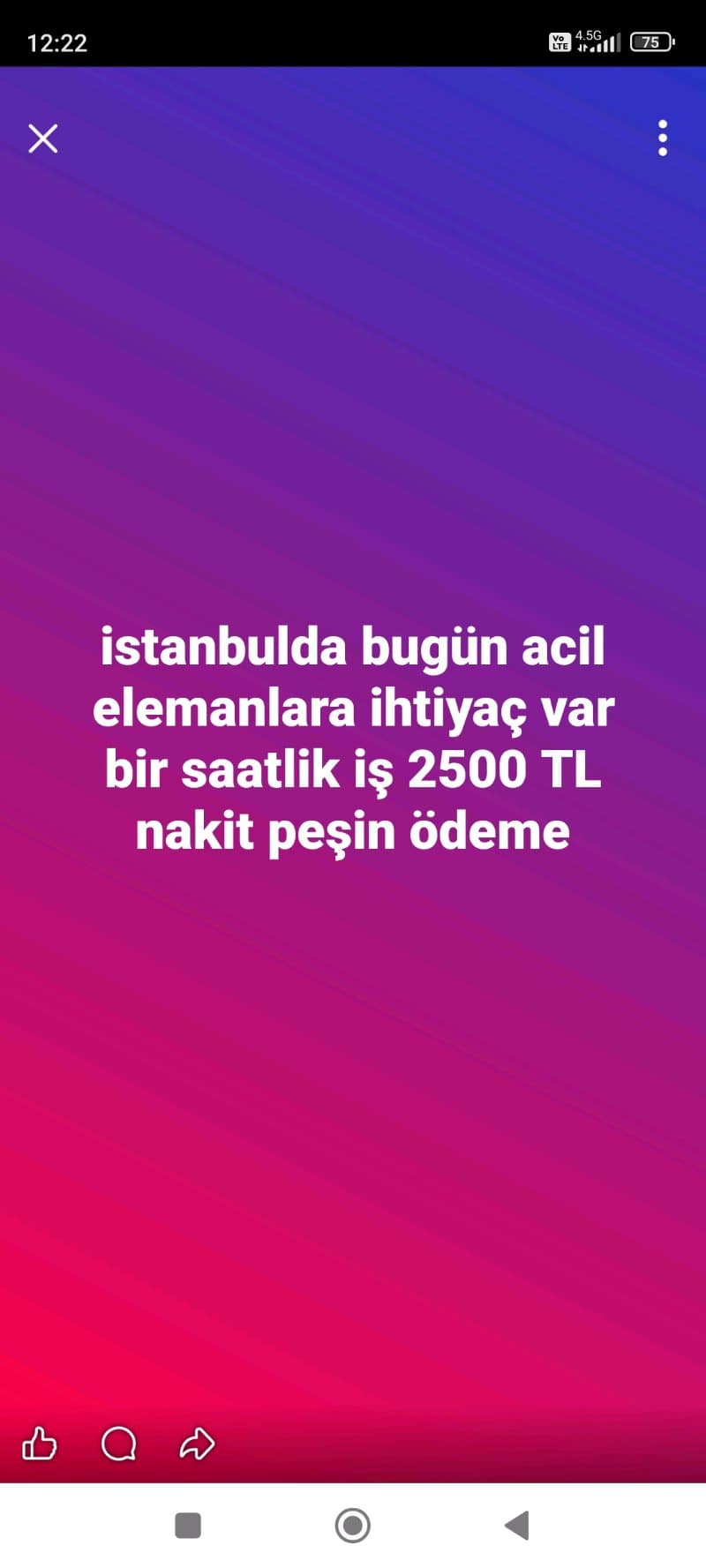 broşür