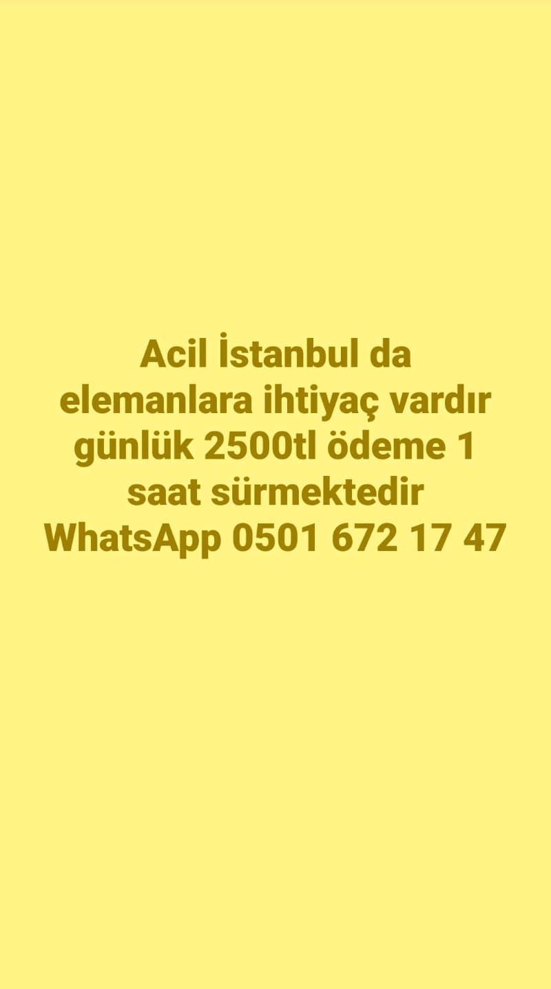 Anketörlük Aranıyor