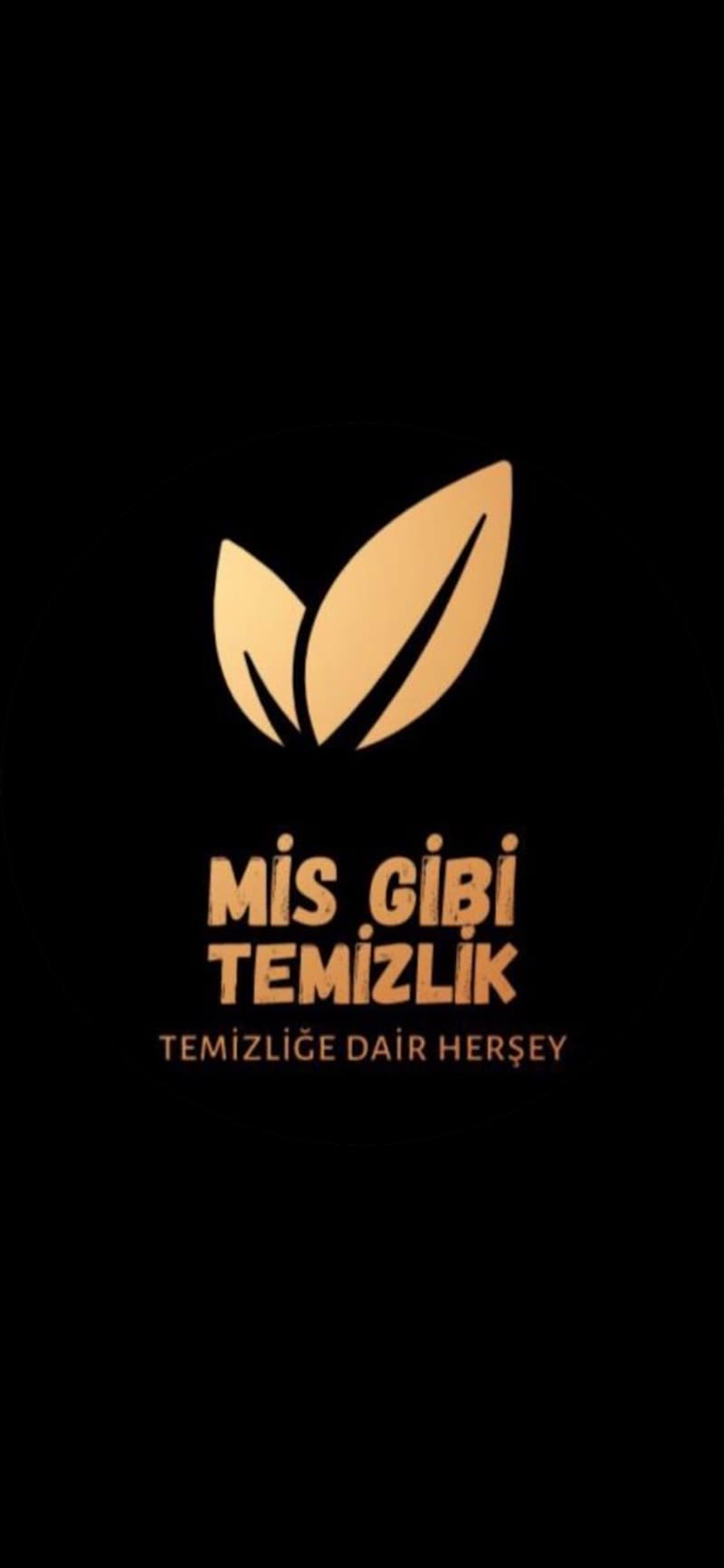 Koltuk Yıkama