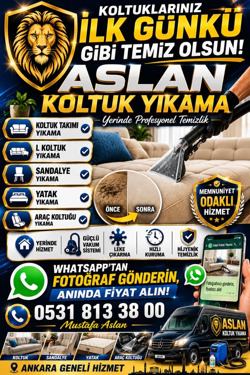 Koltuk Kanepe Sandelye Yatak Baza Kenarı Araç Koltu Yıkanır